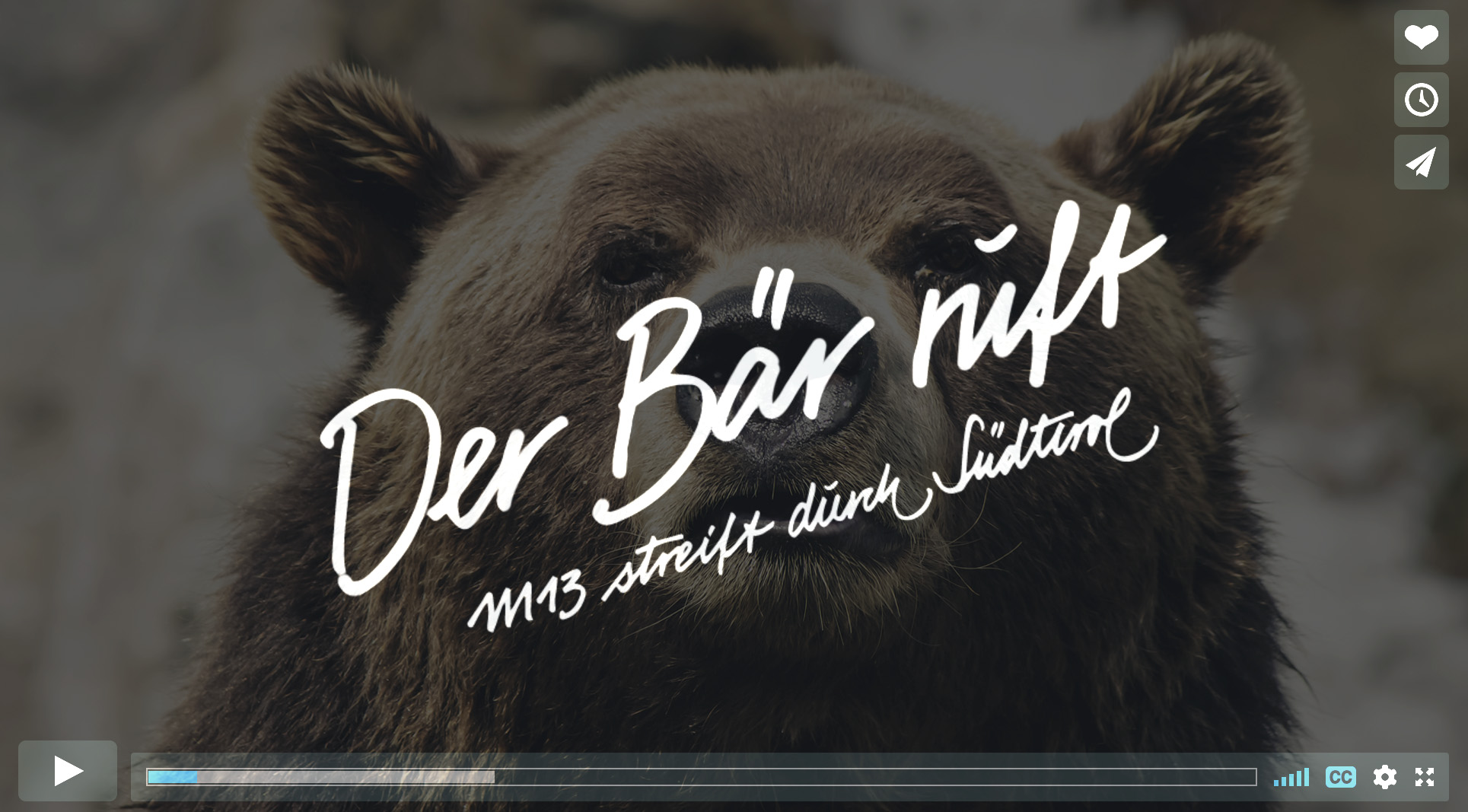 M13 – a brown bear roaming the Alps