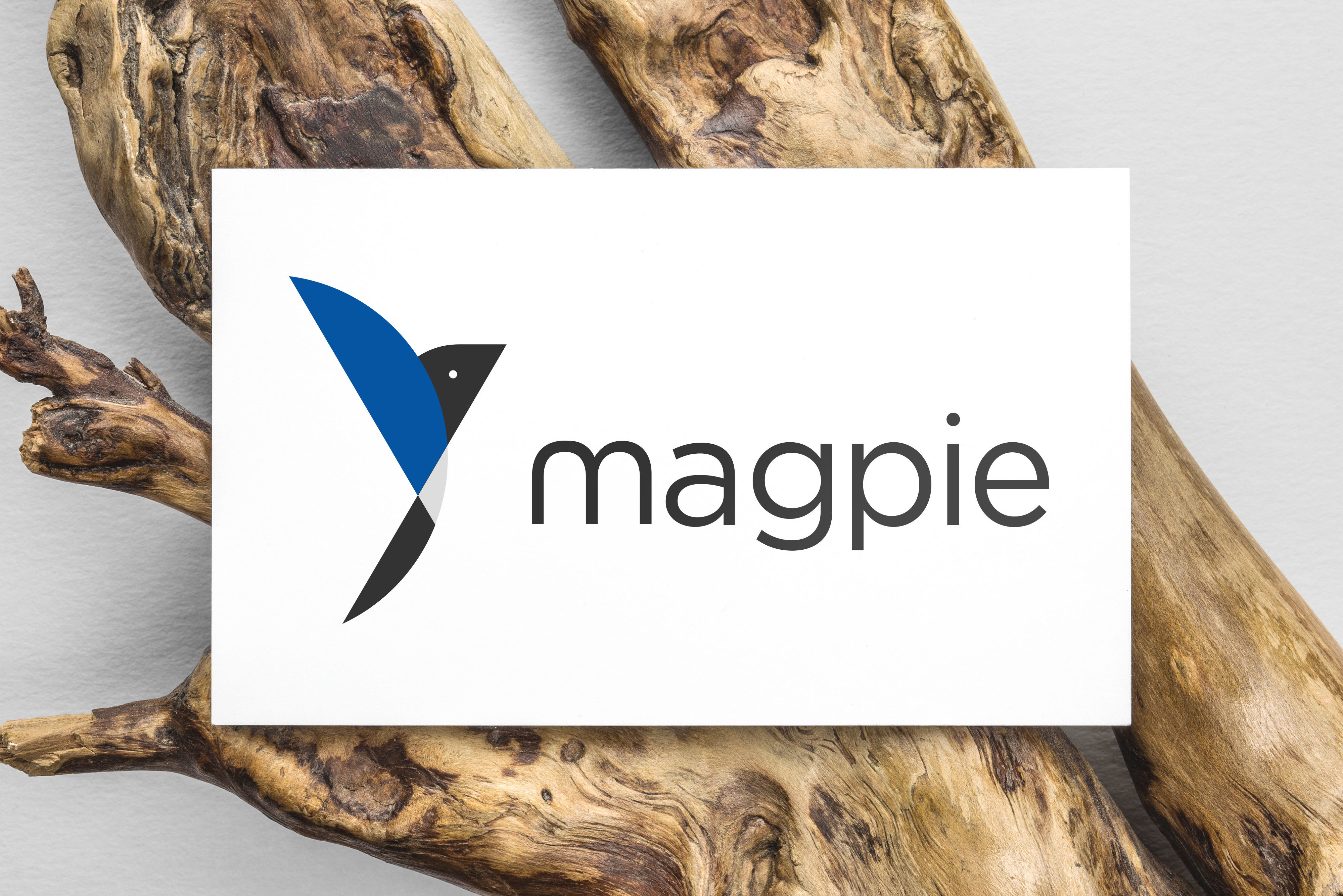 ‘magpie’ Logo Design
